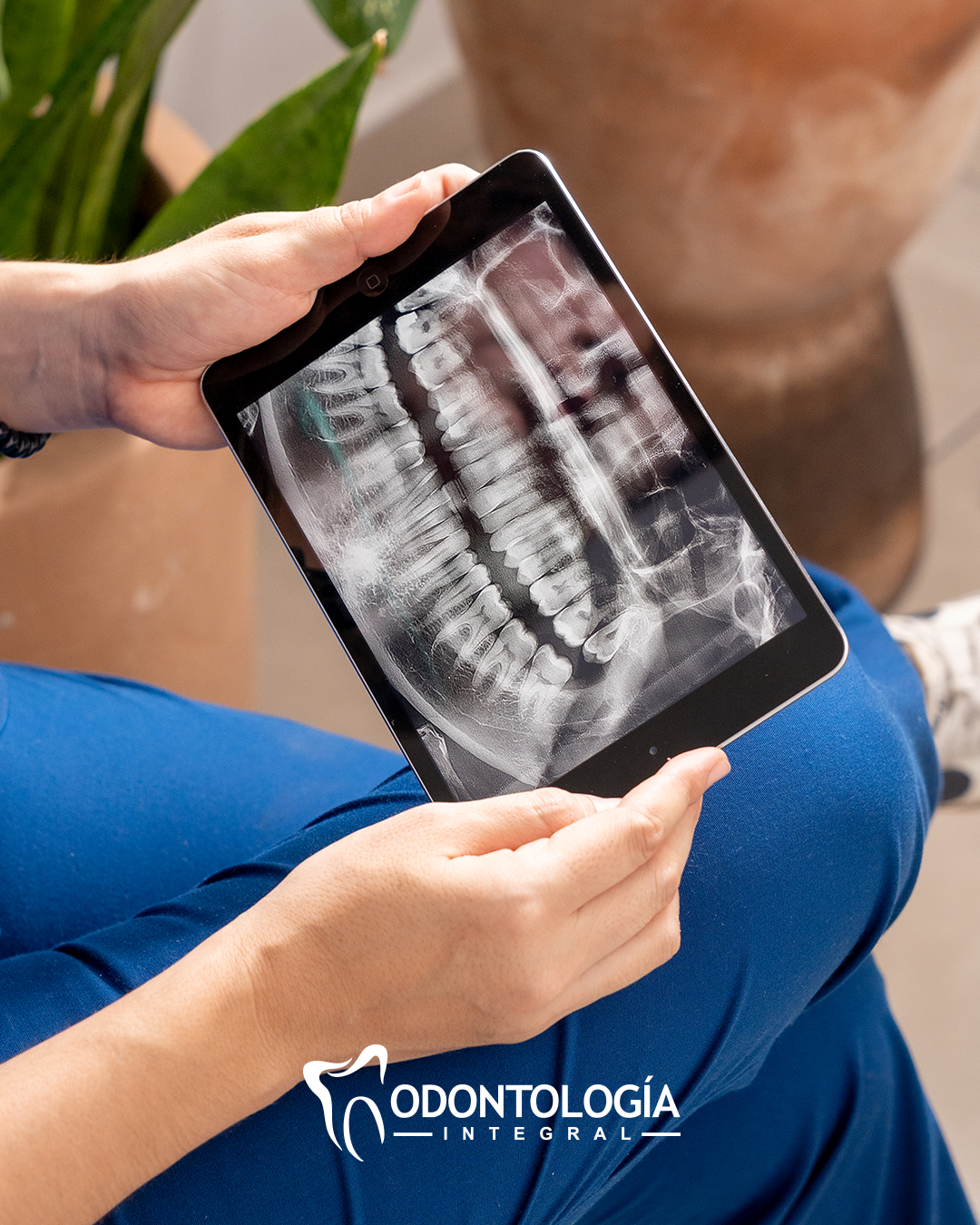 leetx-google-photo-1024-1