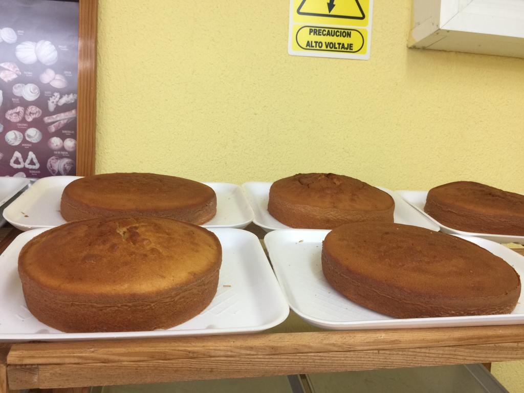 leetx-google-photo-1770324279609-1