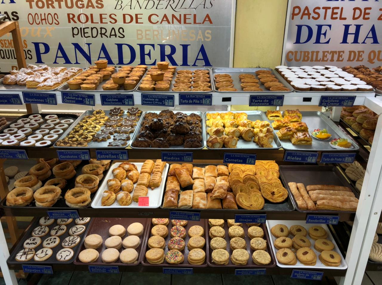 leetx-google-photo-1770324283135-3