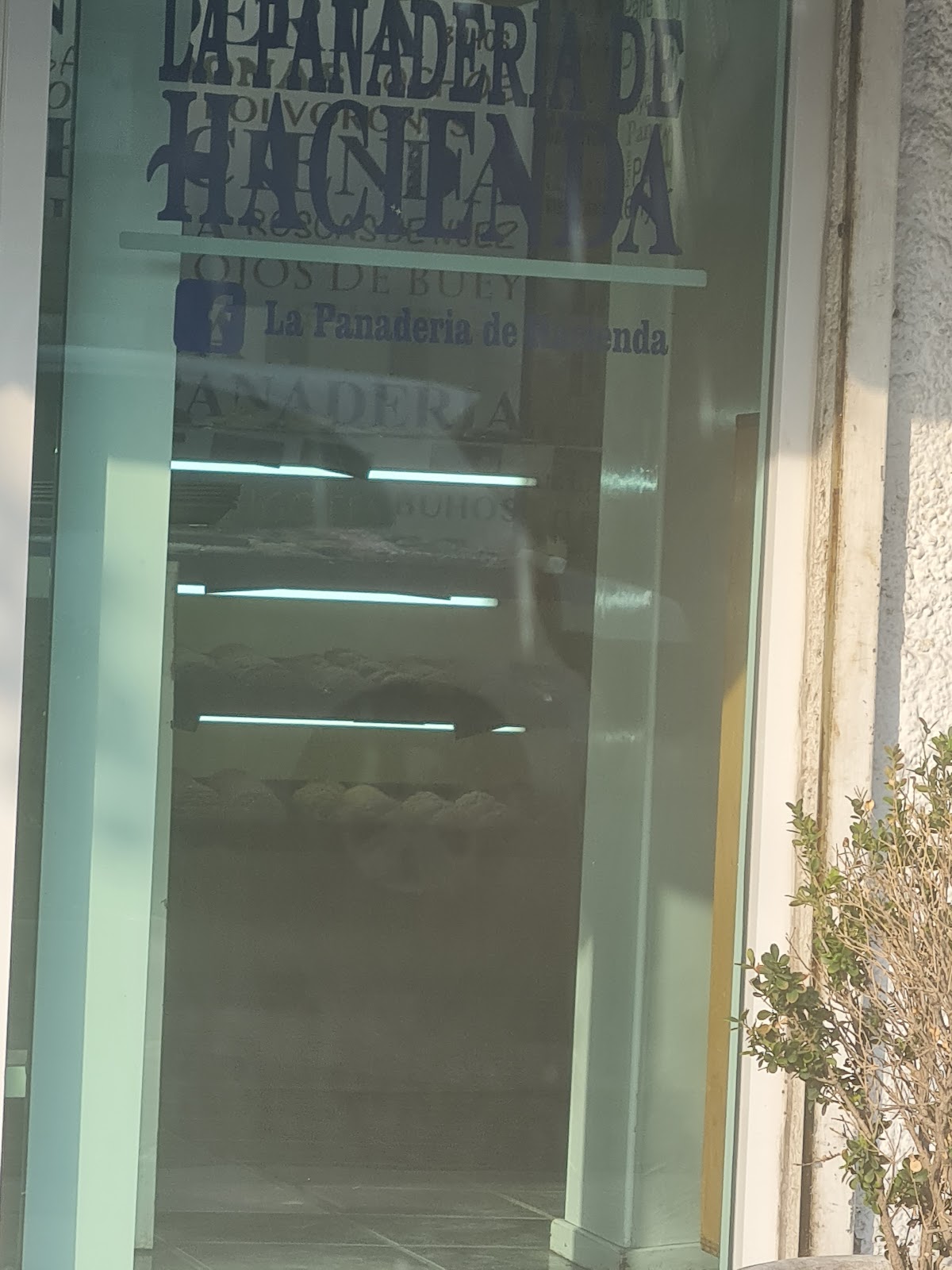 leetx-google-photo-1770324286407-5