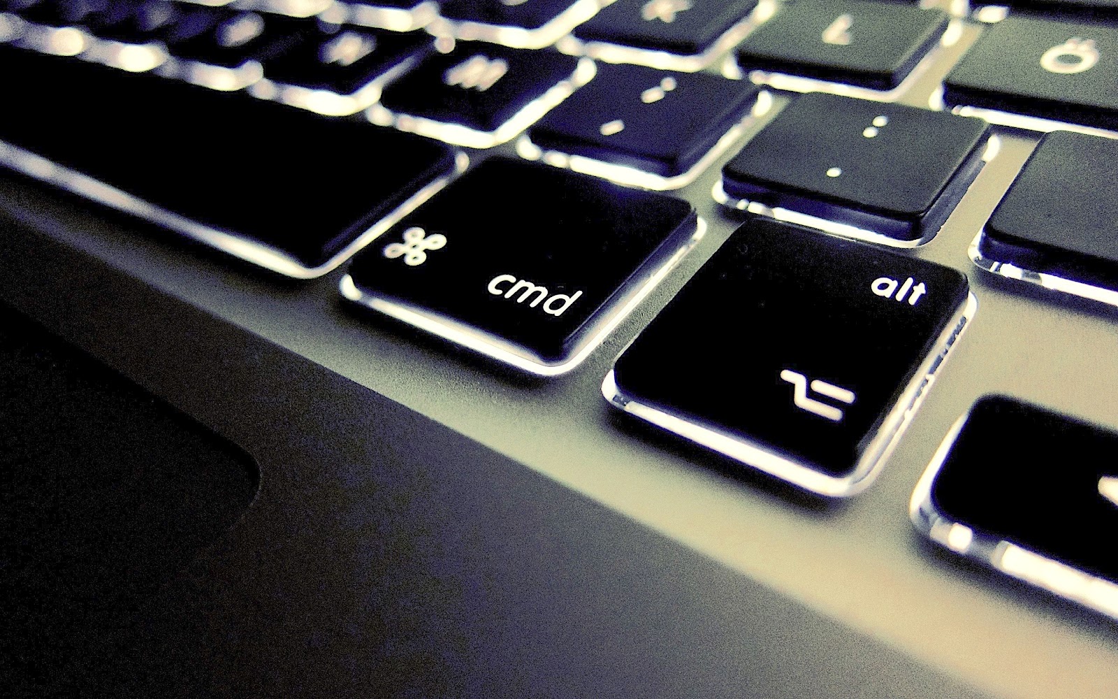 CREATOR: gd-jpeg v1.0 (using IJG JPEG v62), quality = 100