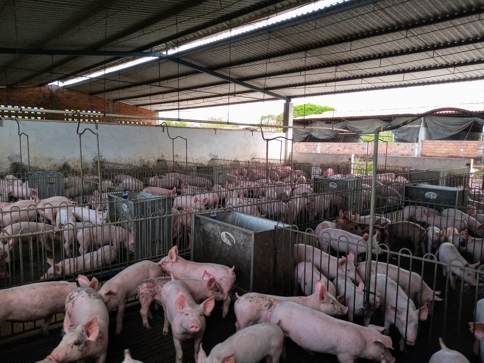 leetx-google-photo-1770330955099-0