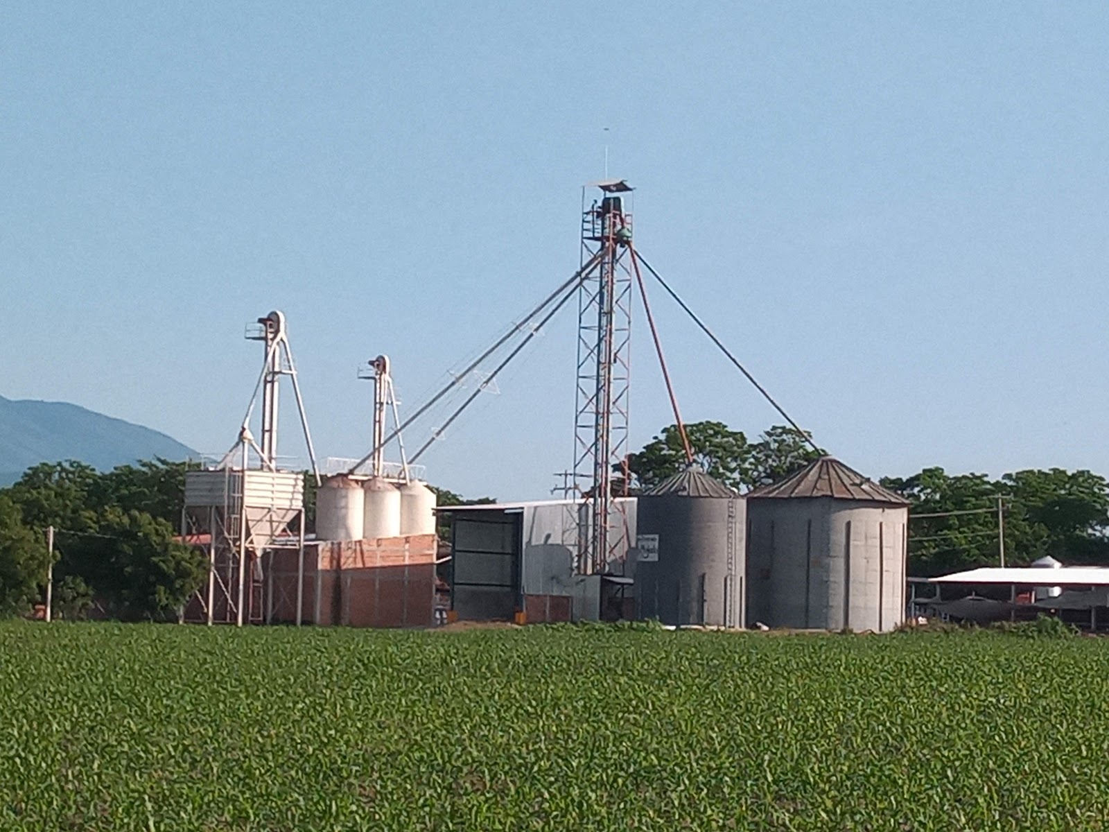 leetx-google-photo-1770330958357-1