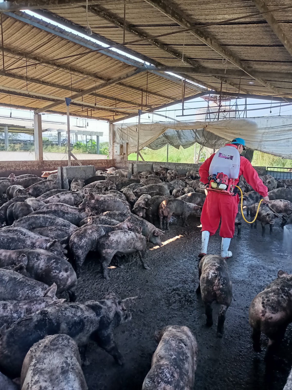 leetx-google-photo-1770330960507-2