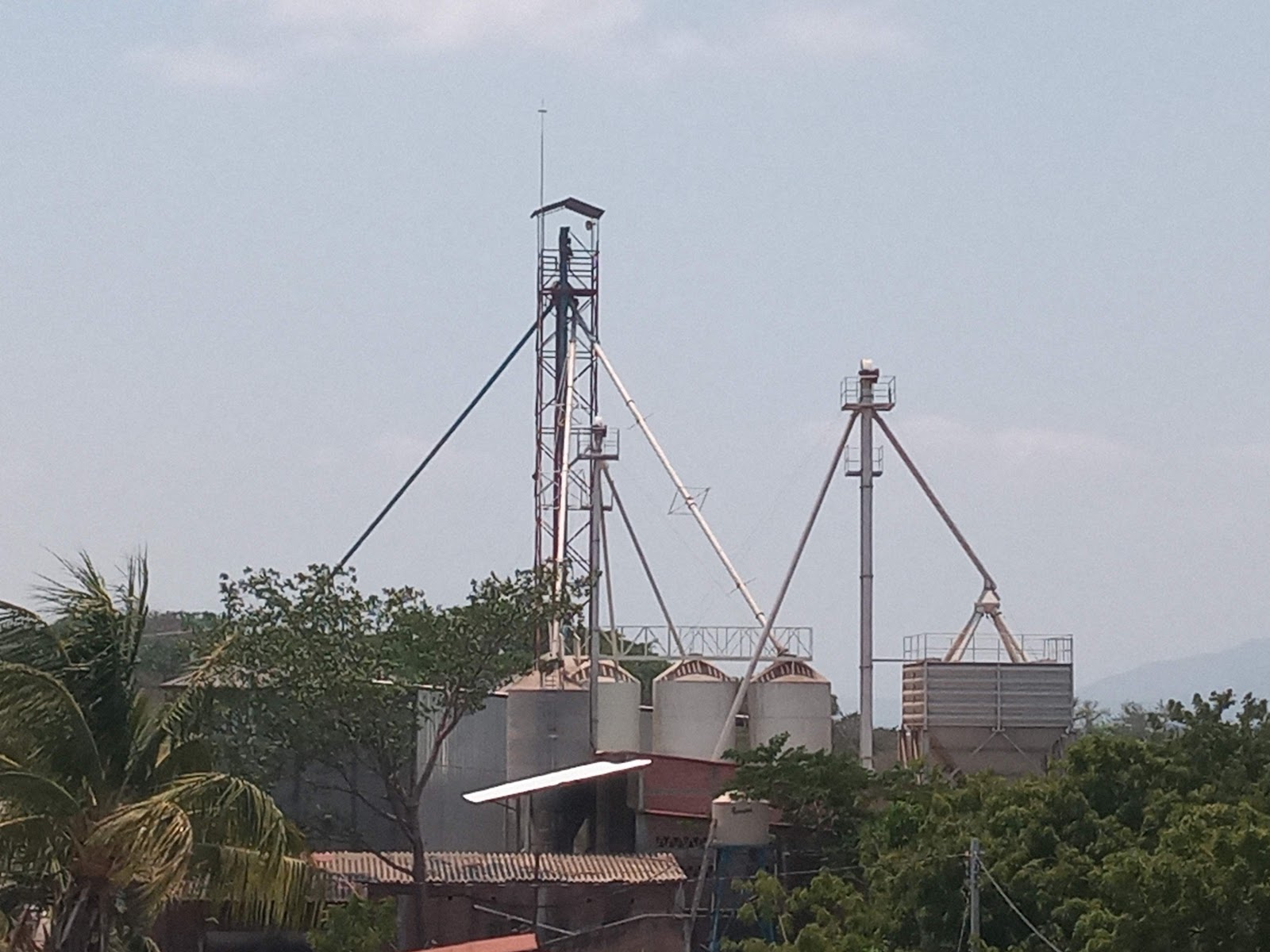 leetx-google-photo-1770330963098-3