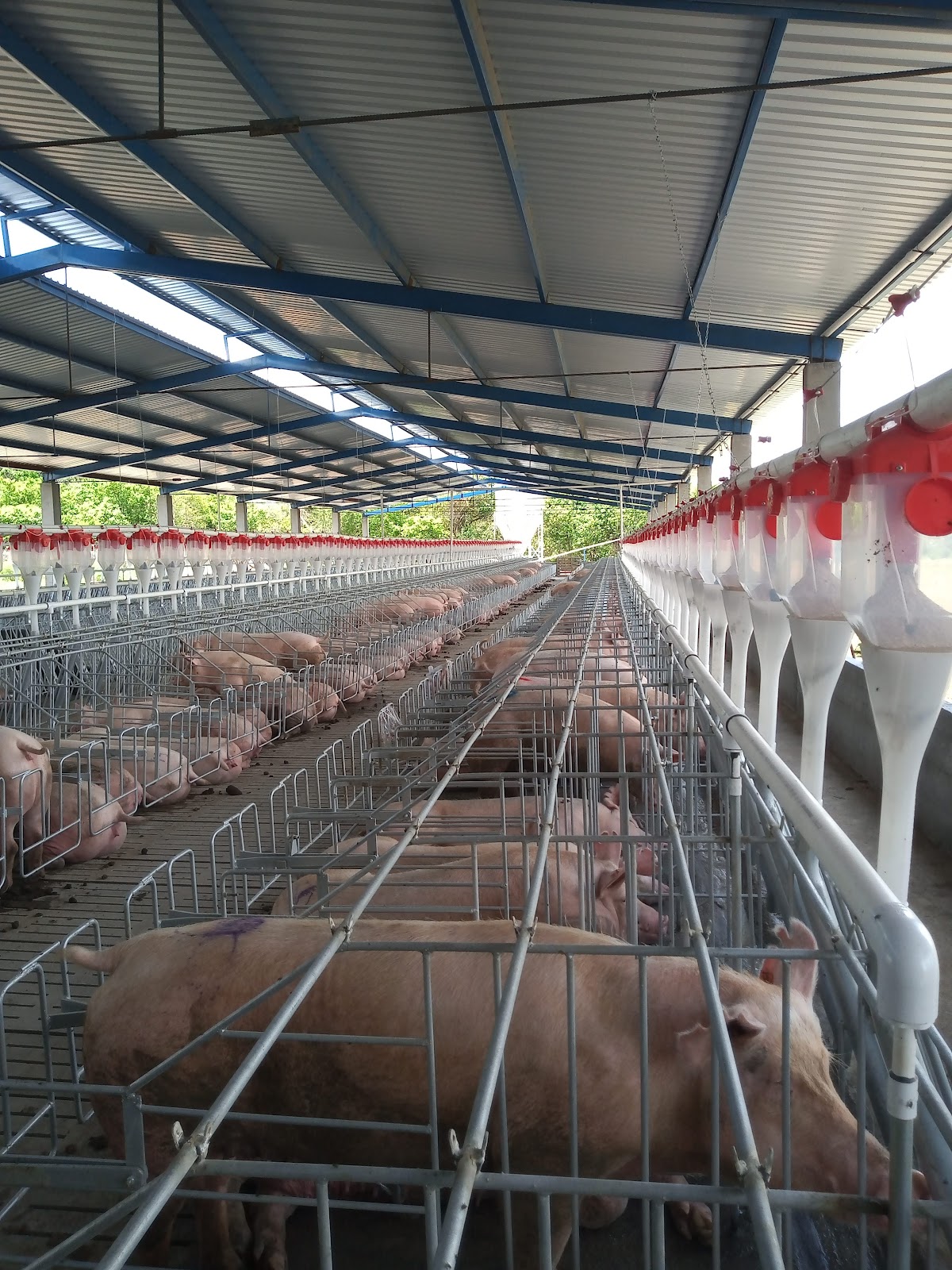 leetx-google-photo-1770330964935-4