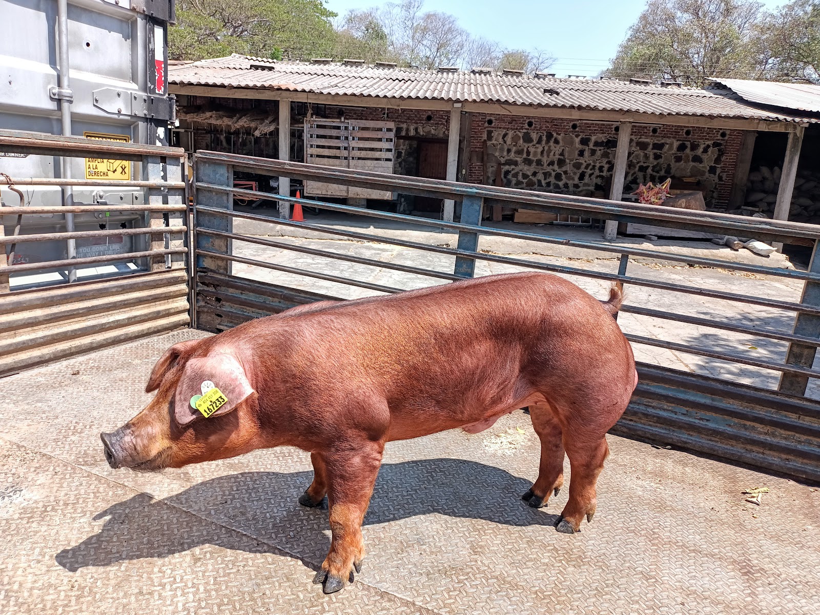 leetx-google-photo-1770330967145-5