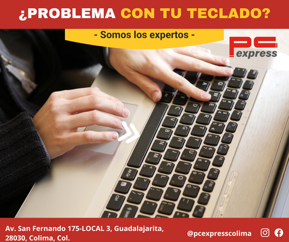 leetx-google-photo-1770331060880-0