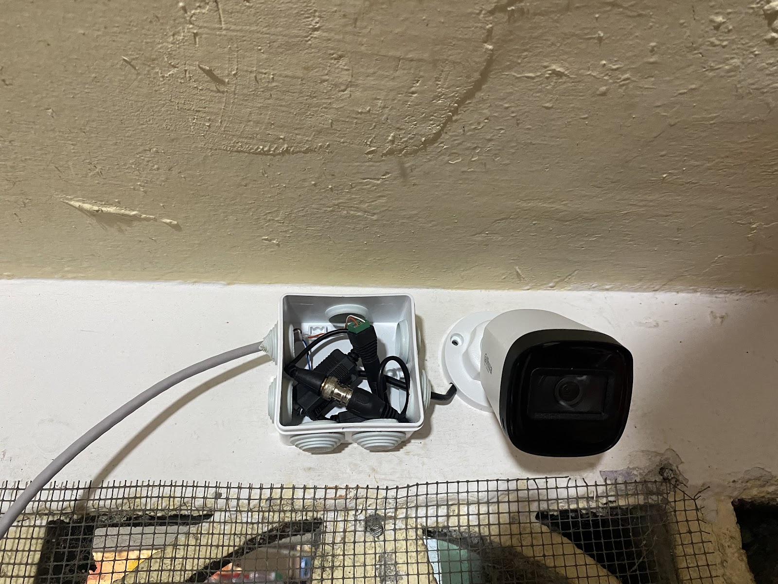 leetx-google-photo-1770331353443-2