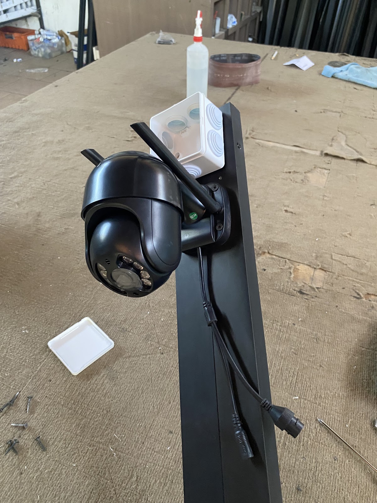 leetx-google-photo-1770331357143-4