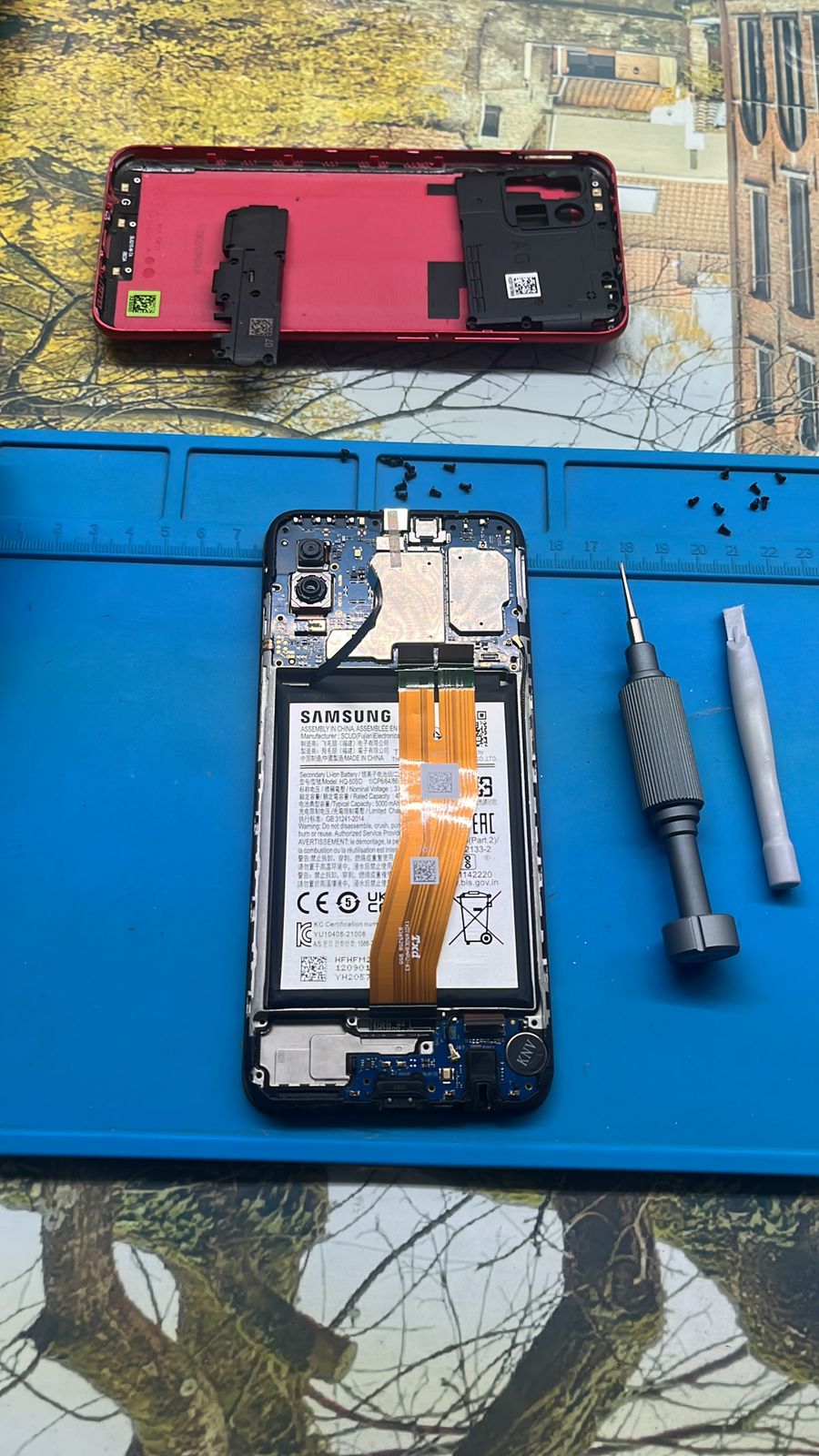 leetx-google-photo-1770332194115-1