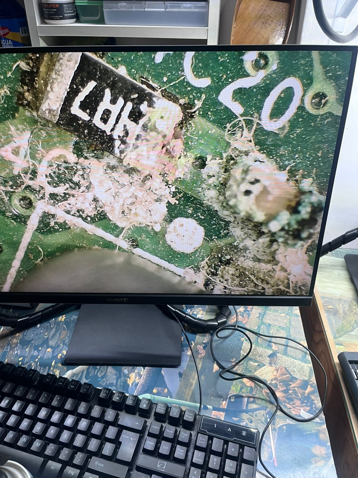 leetx-google-photo-1770332200324-4